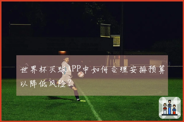 世界杯买球APP中如何合理安排预算以降低风险？
