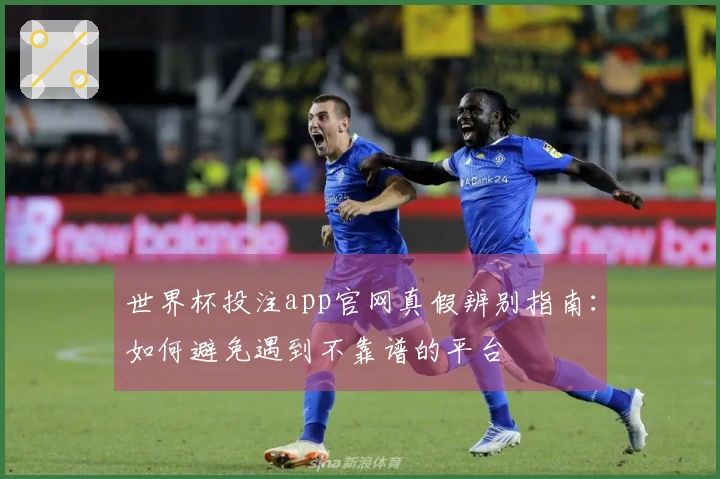世界杯投注app官网真假辨别指南：如何避免遇到不靠谱的平台