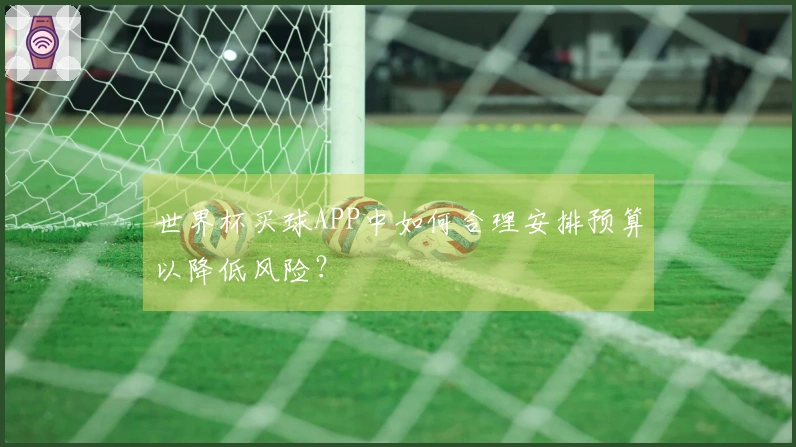 世界杯买球APP中如何合理安排预算以降低风险？
