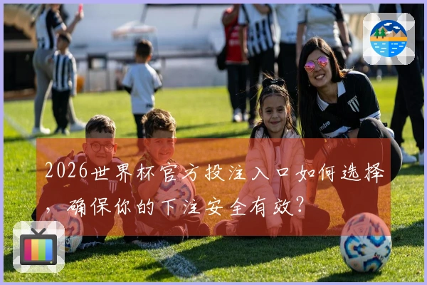 2026世界杯官方投注入口如何选择，确保你的下注安全有效？