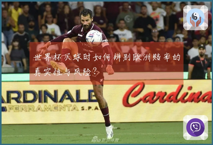 世界杯买球时如何辨别欧洲赔率的真实性与风险?