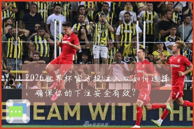 2026世界杯官方投注入口如何选择，确保你的下注安全有效？
